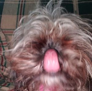 Meet your Posher, Eddy